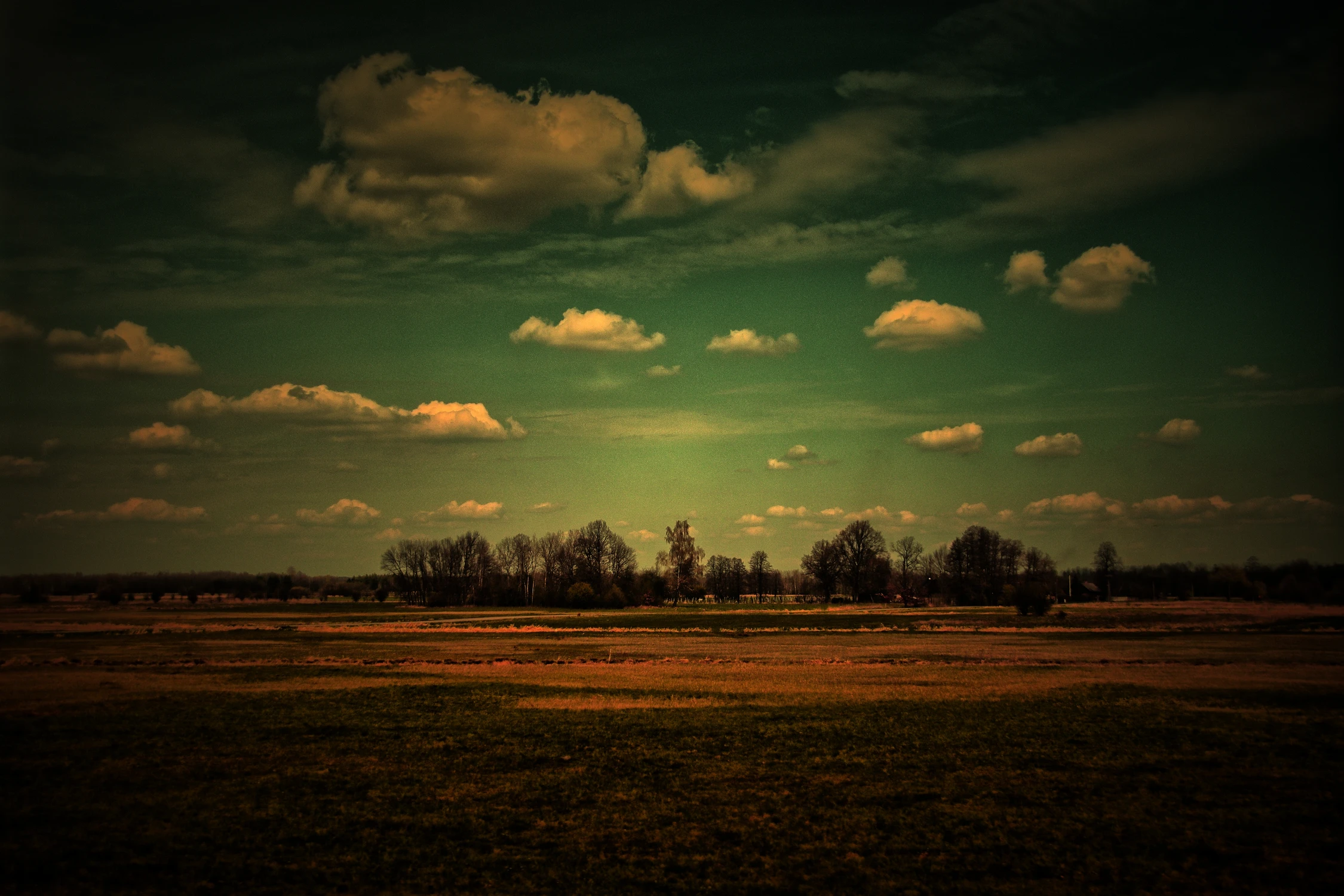 Podlasie - Podlaskie