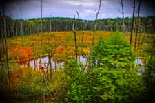 ___Podlasie - Podlaskie -  