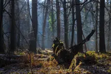 W grudniowym słońcu