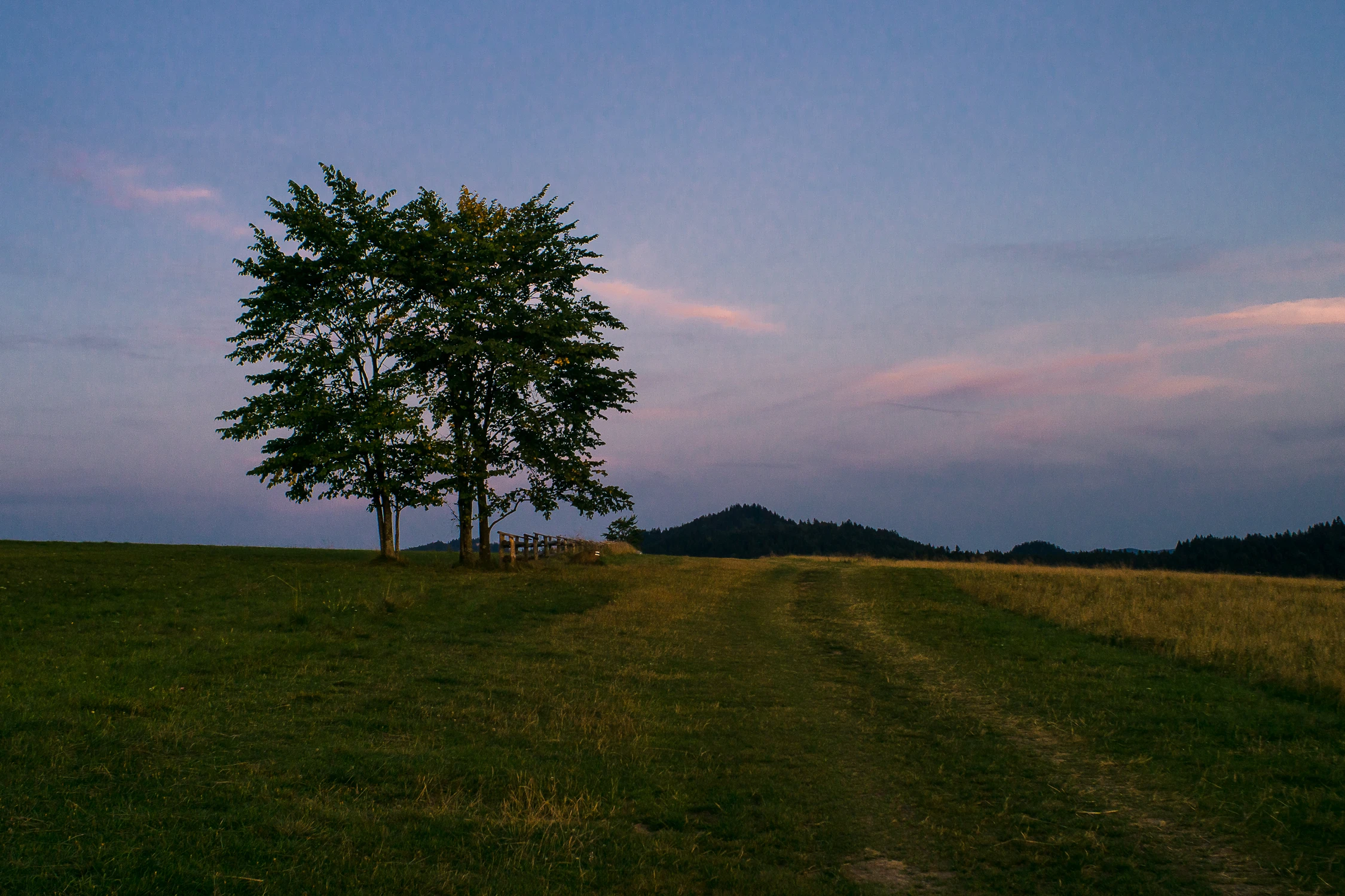 Na hali przed wieczorem