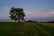 Na hali przed wieczorem