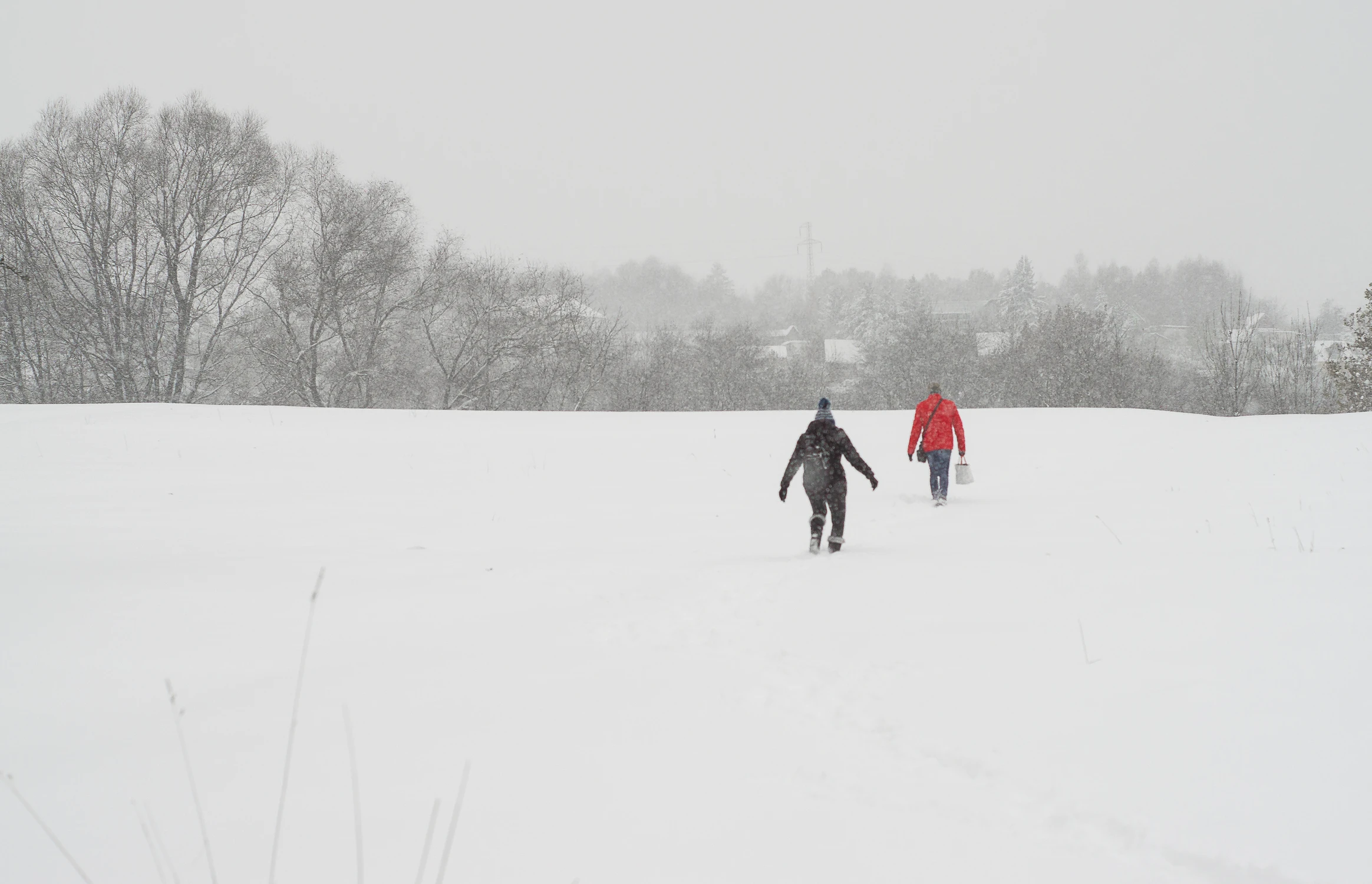 Brnąc przez śniegi