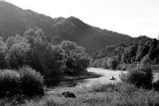 Dunajec