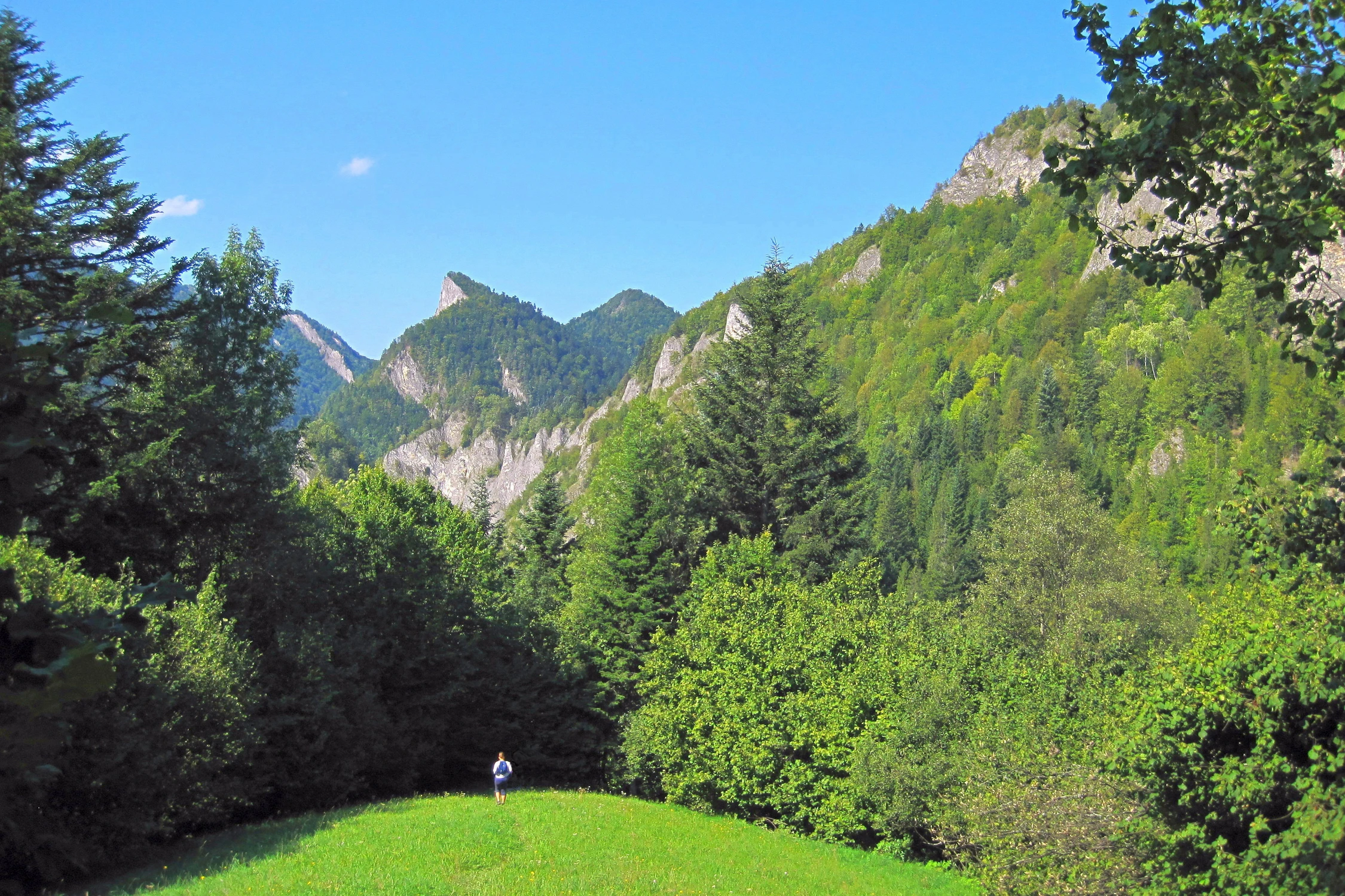 Sokolica