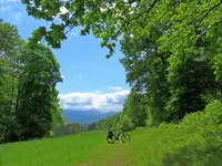 Śnieżka