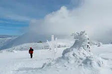W Karkonoszach