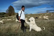 potęga przyjaźni