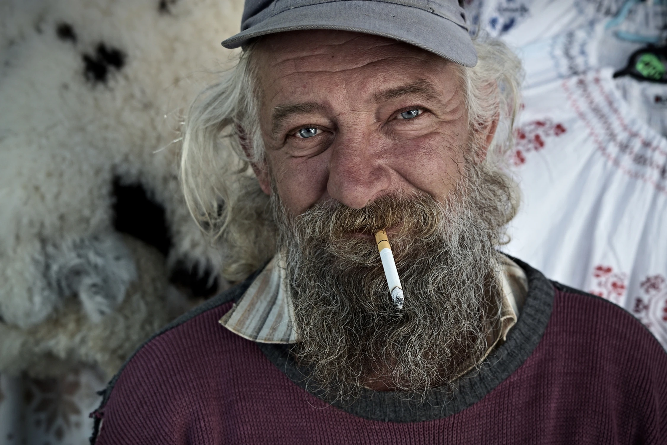 Vasile