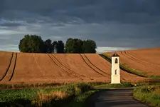 dzień się  budzi