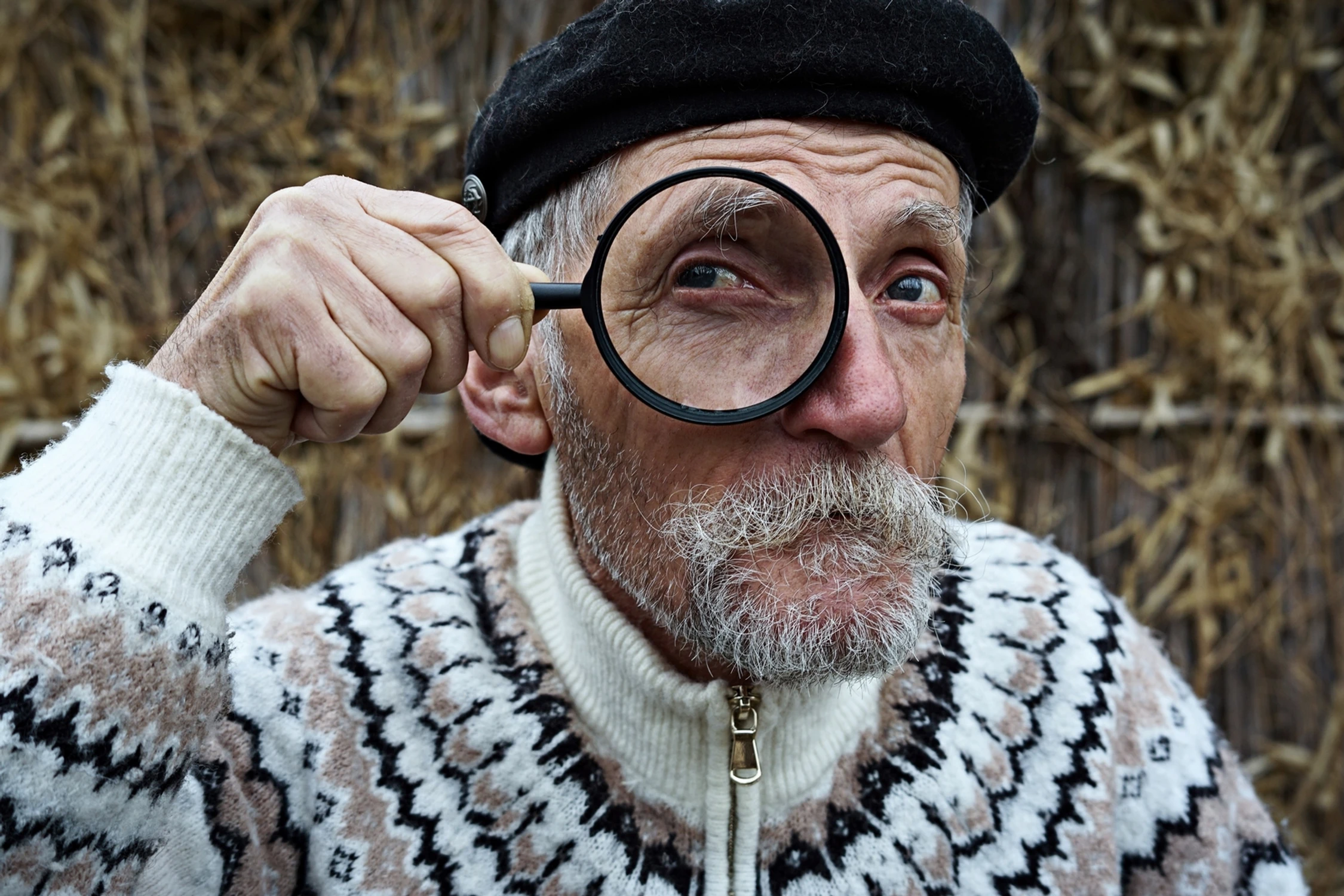 łowca szczegółów