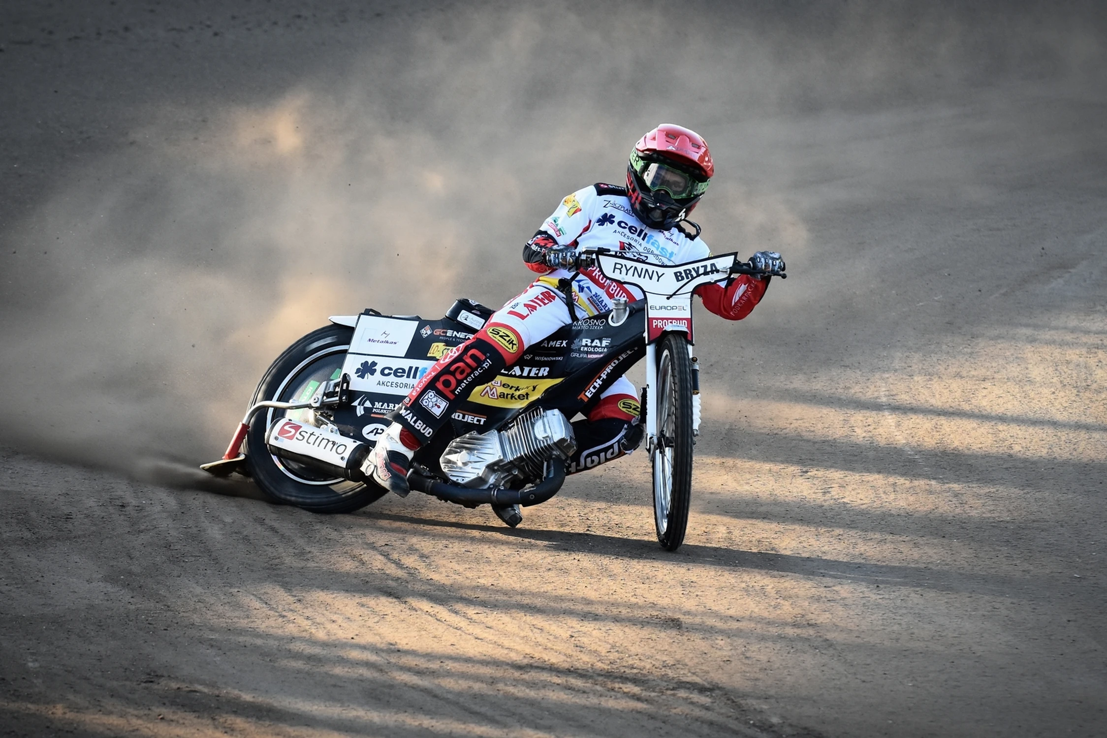 młody wilk