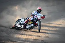 młody wilk