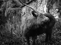 JESTEM Z MIASTA . . .