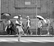 LA VITA E BELLA . . .
