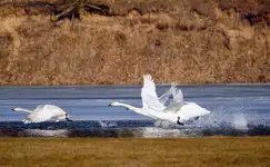 NADBUŻAŃSKA SZTAFETA