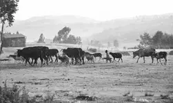 CZASEM SŁOŃCE, CZASEM DESZCZ