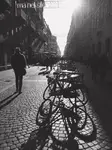 LUCI E OMBRE