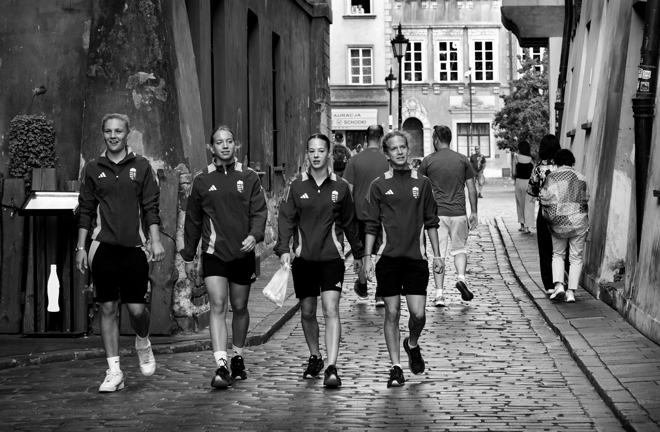 DREAM TEAM