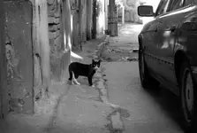 DALEJ NIE PÓJDZIESZ . . .