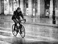 RAIN MAN