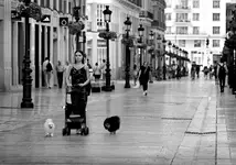 SAMOTNOŚĆ NA WYBIEGU