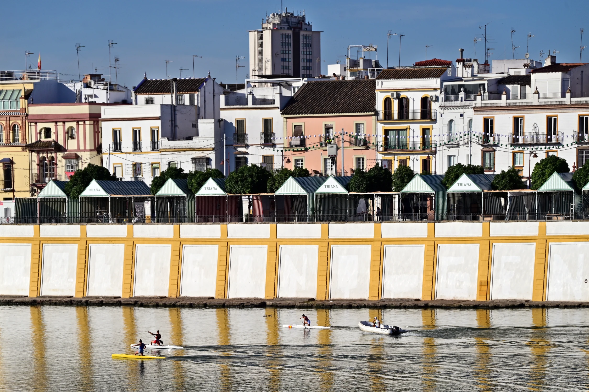 TRIANA Z SAMEGO RANA