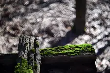 WYPŁYNĄŁEM NA SUCHEGO PRZESTWÓR OCEANU