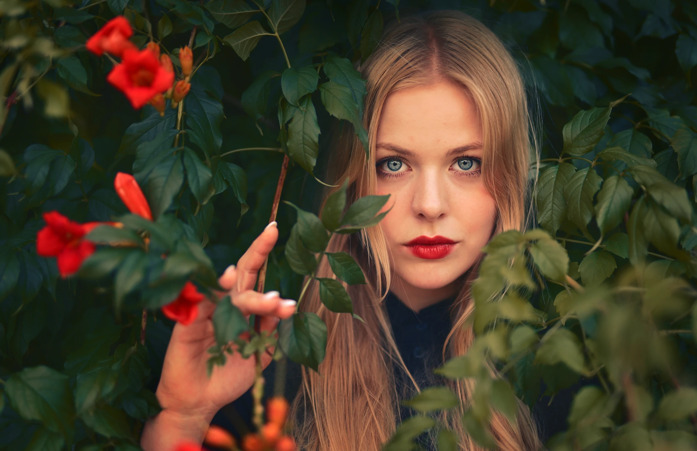 BLOOMS IN RED