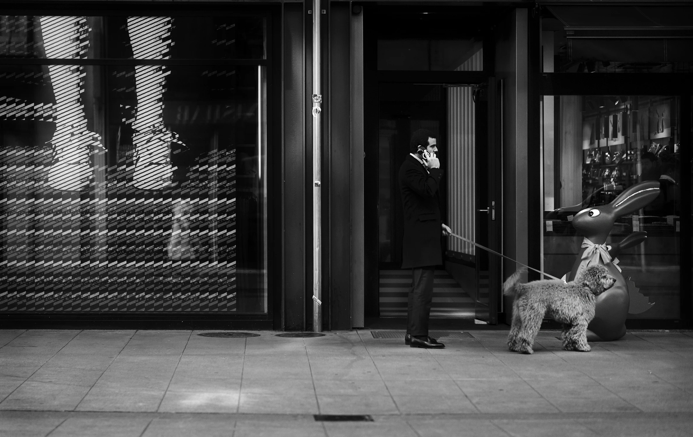 KOCHANIE, FAFIK NIE CHCE WRACAĆ . . .