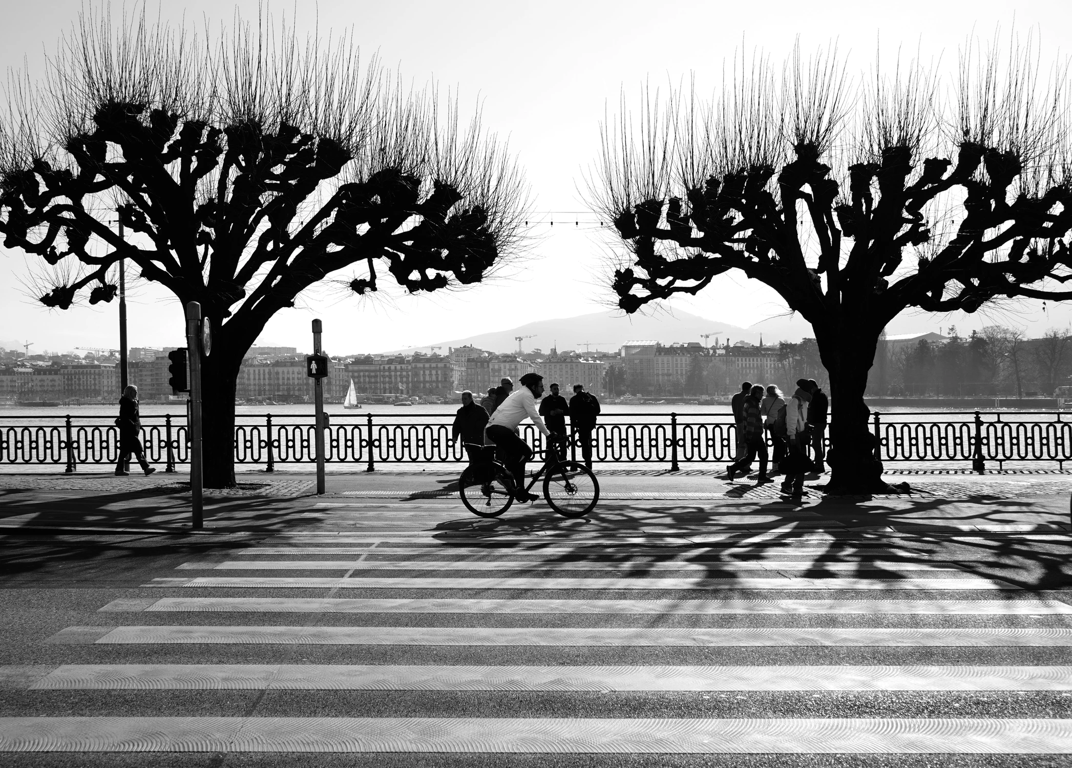 W SŁOŃCU I W CIENIU