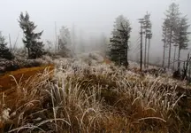 Krajobrazy jesienne - 6.