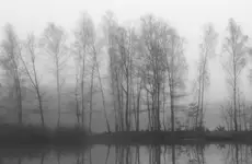 Krajobrazy jesienne - 5.