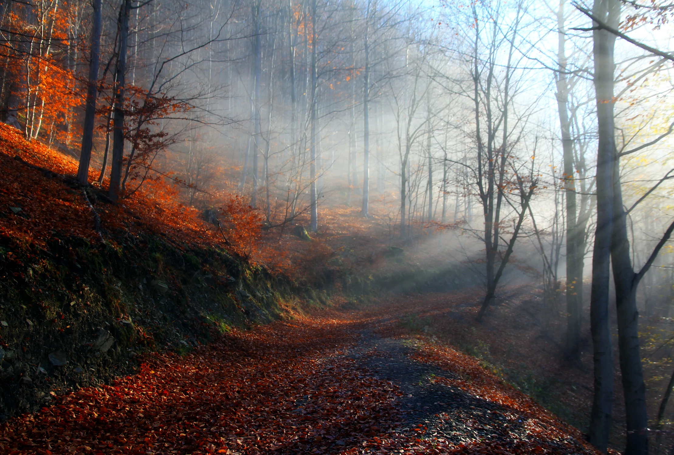 Krajobrazy jesienne -1.