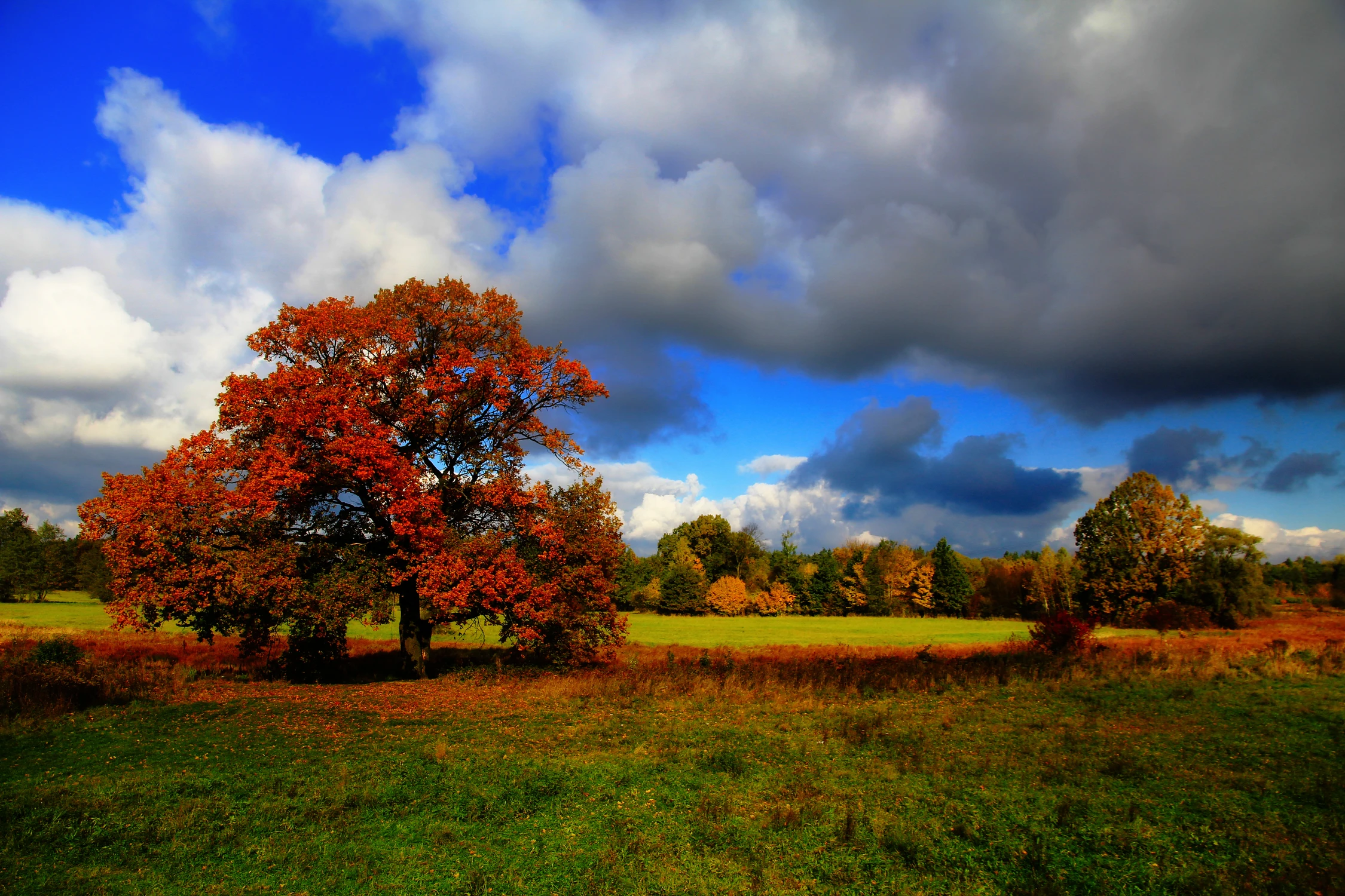 Krajobrazy jesienne -2.