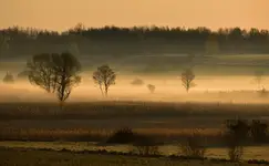 z mglistych opowieści...