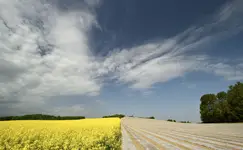majowe 'pół na pół'...