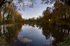 'gdy światło gaśnie...