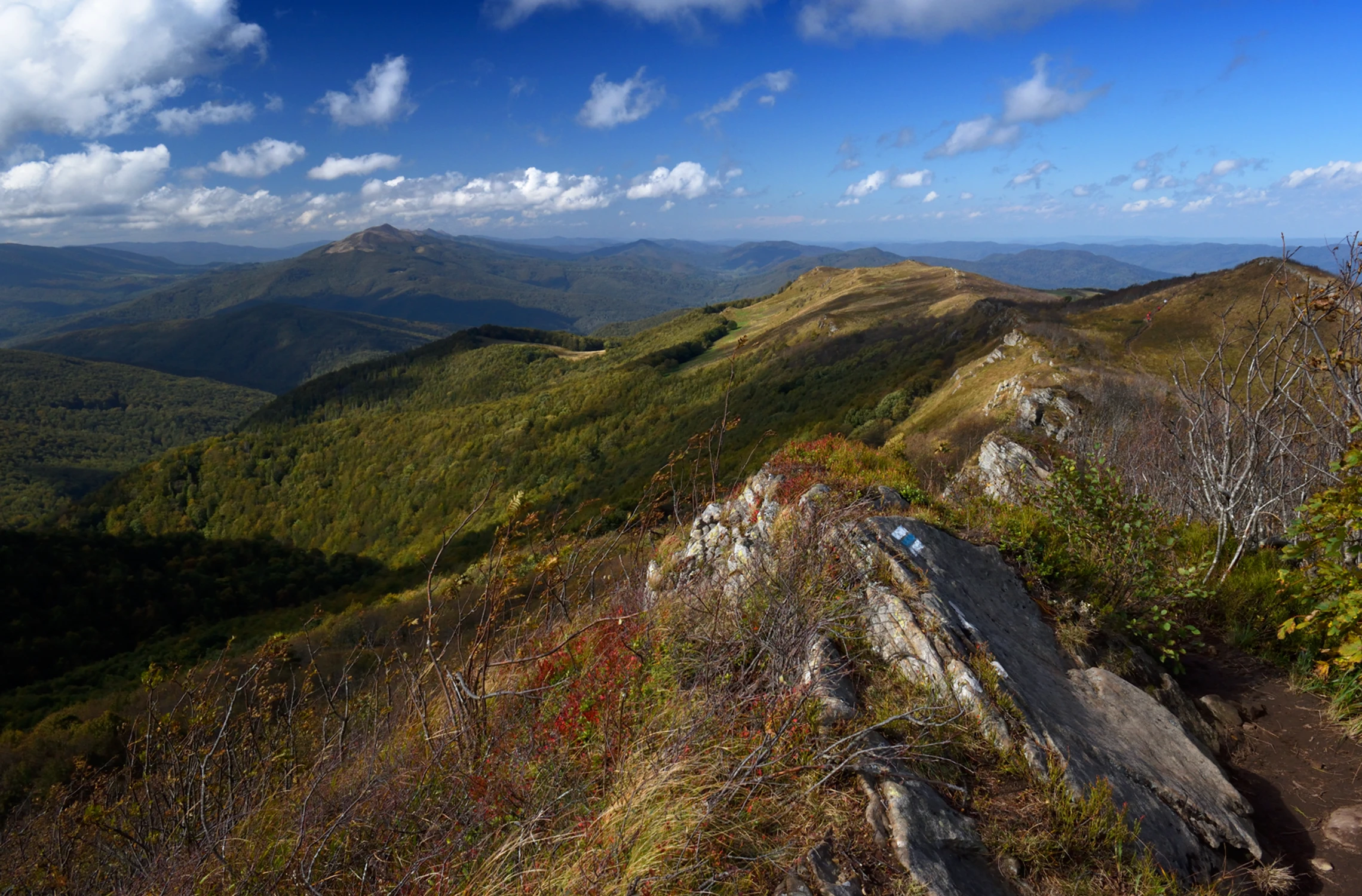 z bieszczadzkich 'wspominków'...