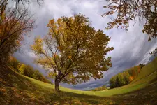 z jesiennych klimatów...