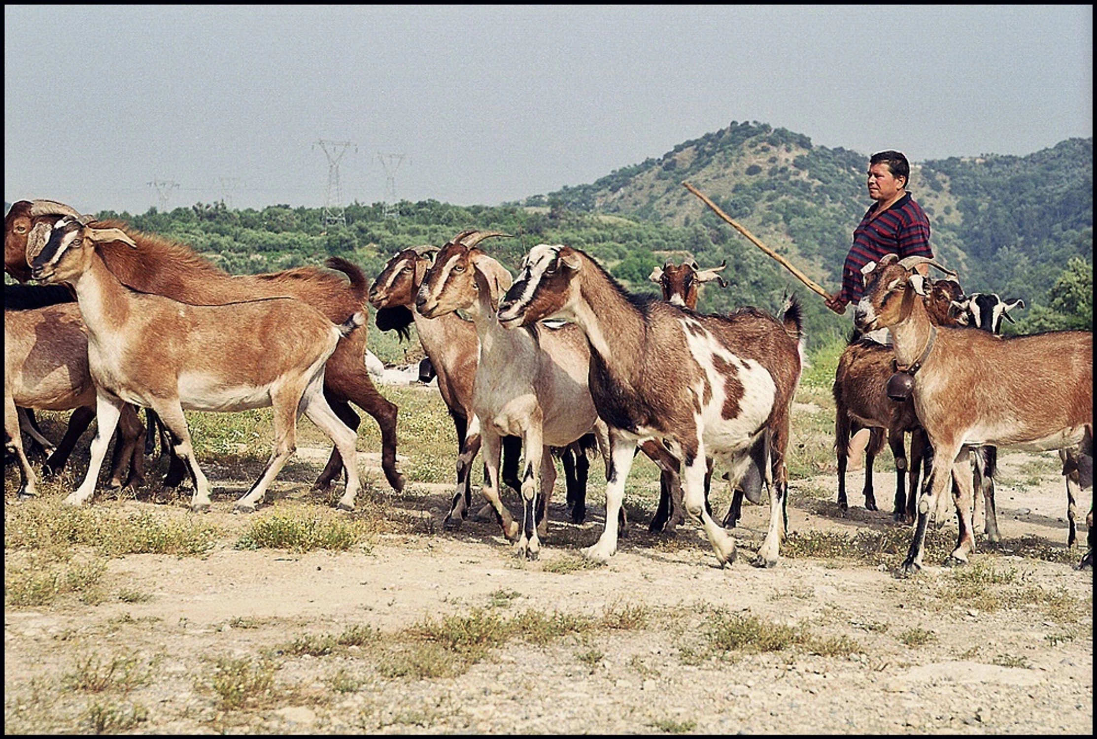 Kreta, Grecja