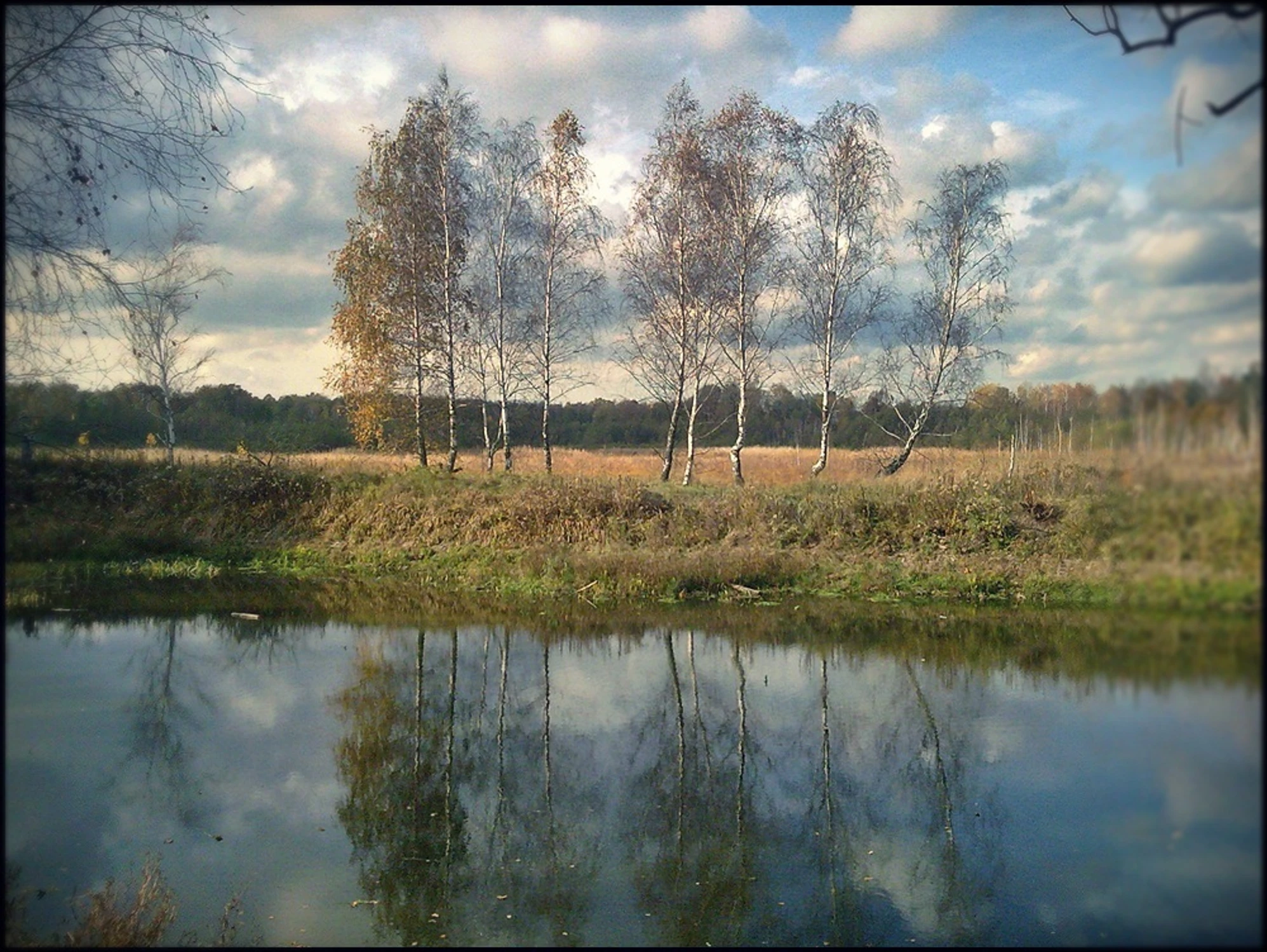 Rezerwat Mosty Kalińskie