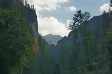 ....