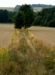 ....
