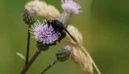 DSC07426m
