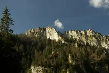 .....