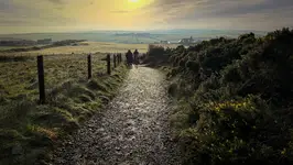 while the rest of the world sleeps