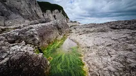 Irish summer '26