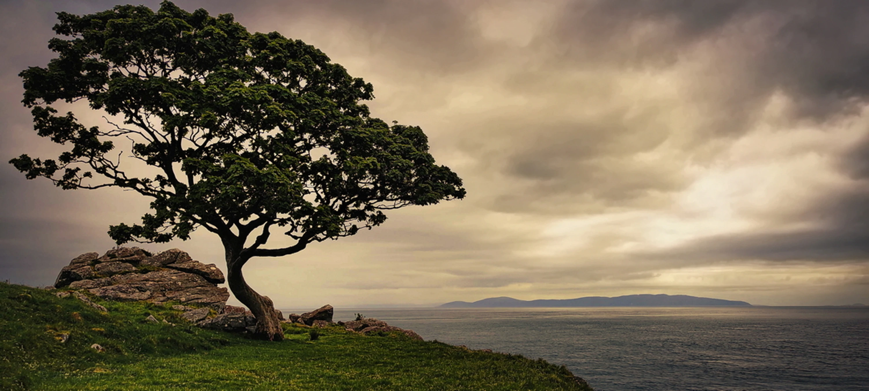 loneliness of the evening