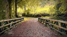Irish autumn ' 26