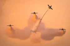 Bzzzz!